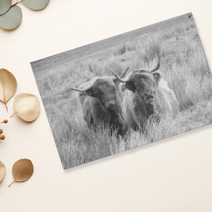 Highland Cow Scotland Rustic Black White   Tissue  Tissue Paper