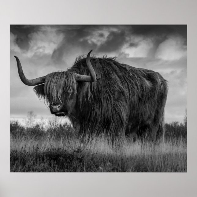  Highland Cow Scotland Rustic Brown monotone  Post Poster (Front)