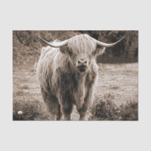  Highland Cow Scotland Rustic Brown monotone   Tissue Paper