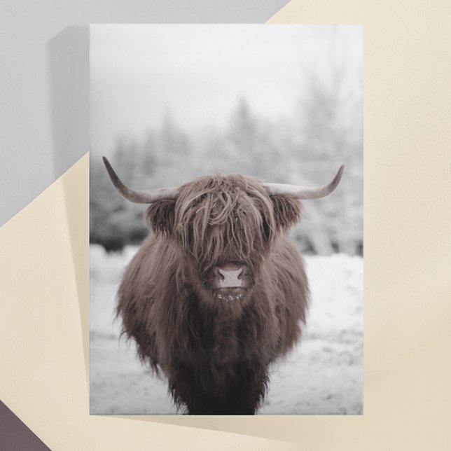 Highland Cow Scotland Rustic Farm Postcard (Creator Uploaded)