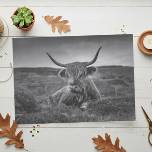Highland Cow Scotland Rustic  Tissue Paper