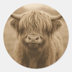 Highland Cow Sepia Portrait Classic Round Sticker