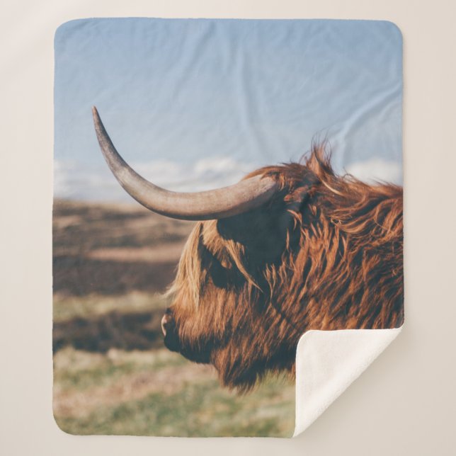 HIGHLAND COW SHERPA BLANKET (Front)