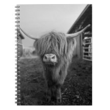 Highland Cow Spiral Notebook