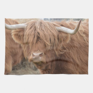 Highland Cow Tea Towel