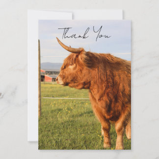 Highland Cow Thank You Card