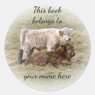 Highland Cow "This book belongs to" sticker
