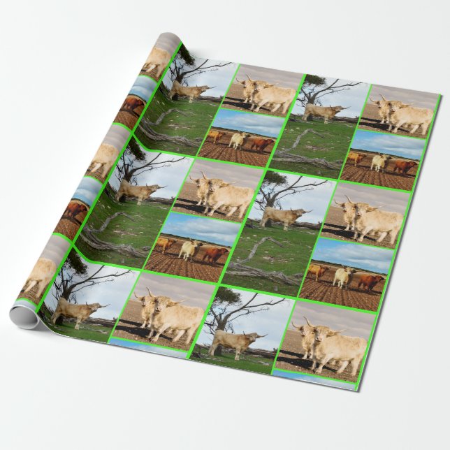 Highland Cow Three Picture Collage, Wrapping Paper (Unrolled)