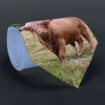 Highland Cow Tie<br><div class="desc">Highland Cow</div>