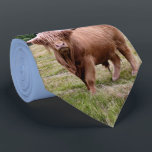 Highland Cow Tie<br><div class="desc">Highland Cow</div>