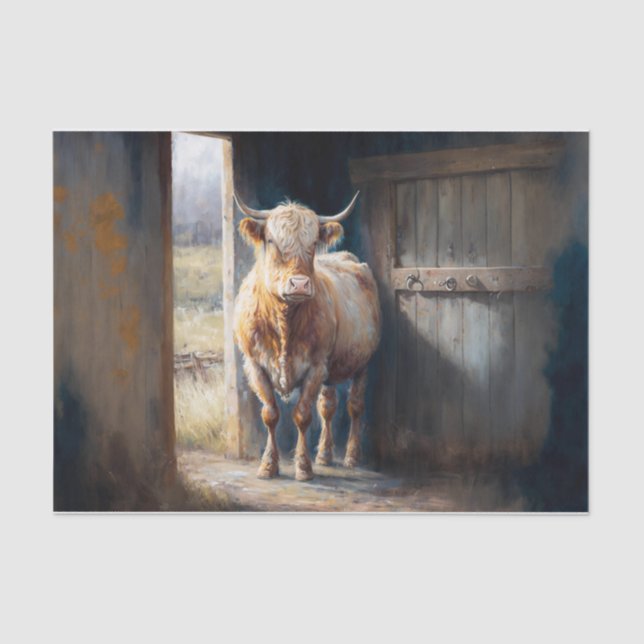 Highland Cow  Tissue Paper (Front)