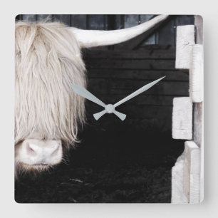Highland Cow Wall Clock, 10.75" Square Acrylic Clock