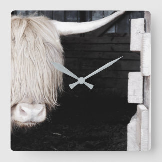 Highland Cow Wall Clock, 10.75" Square Acrylic Square Wall Clock