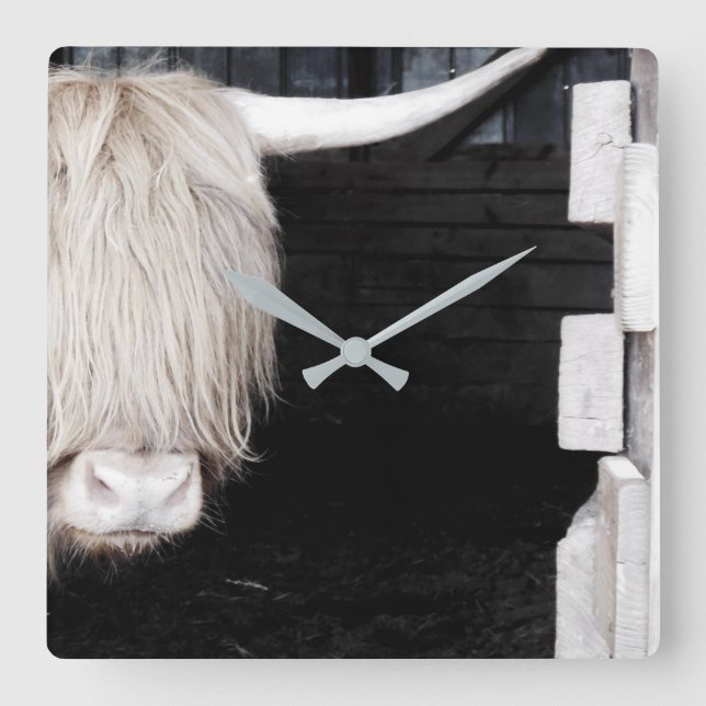 Highland Cow Wall Clock, 10.75" Square Acrylic Square Wall Clock (Front)