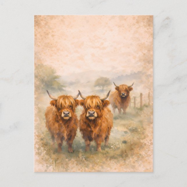 Highland Cow - Watercolour Animals Postcard (Front)
