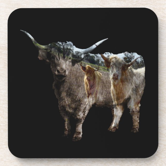 Highland Cow With Inverted Cows Image,  Coaster (Front)