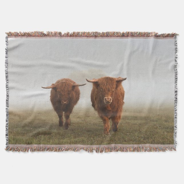 Highland Cow Woven Blanket (Front)
