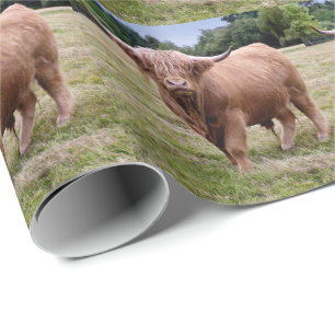 Highland Cow Wrapping Paper