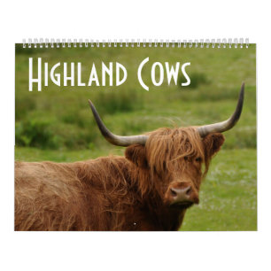 Highland Cows - 12 Months of Highland Cattle - Calendar
