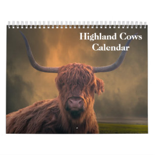 Highland Cows 2025 Calendar