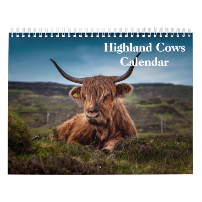 Highland Cows 2026 Calendar (Cover)