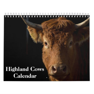 Highland Cows 2026 Calendar