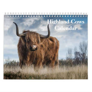 Highland Cows 2026 Calendar