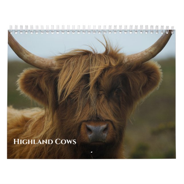 Highland Cows Calendar (Cover)