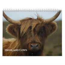 Highland Cows