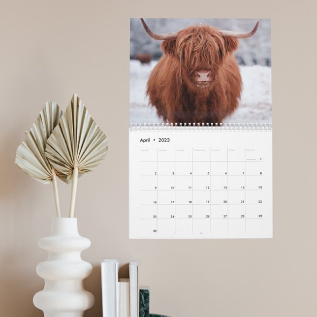 Highland Cows Farm Animal Scotland Any year Calendar (Creator Uploaded)