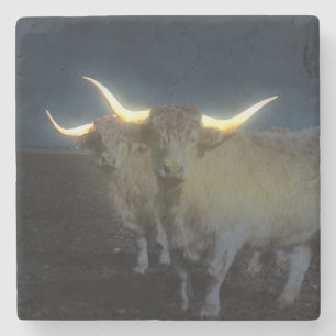 Highland Cows Glowing In The Dark, Stone Coaster