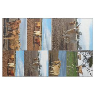 Highland Cows Photo Collage, Fabric