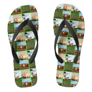 Highland Cows Photo Collage, Flip Flops