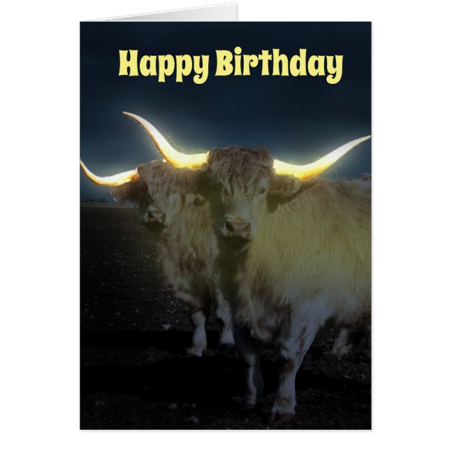 Highland Cows With The Glow, Birthday Card (Front)