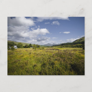 Highland Landscape Postcard