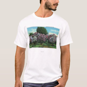 Highland Park Lilacs in Bloom T-Shirt