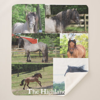 Highland Pony Blanket