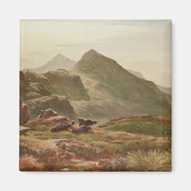Highland scene magnet (Front)