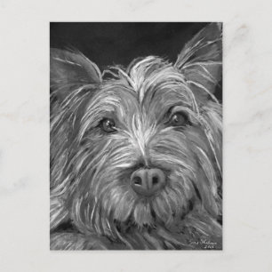 Highland Terrier Postcard