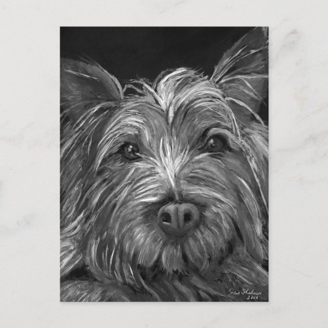 Highland Terrier Postcard (Front)