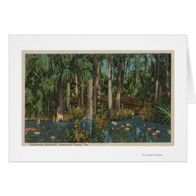 Highlands County, FL - View of Highlands Hammock (Front Horizontal)