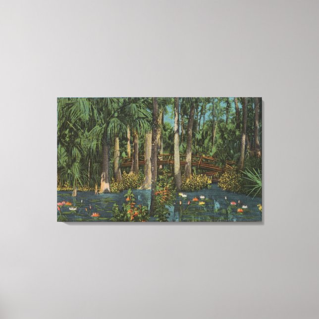 Highlands County, FL - View of Highlands Hammock Canvas Print (Front)