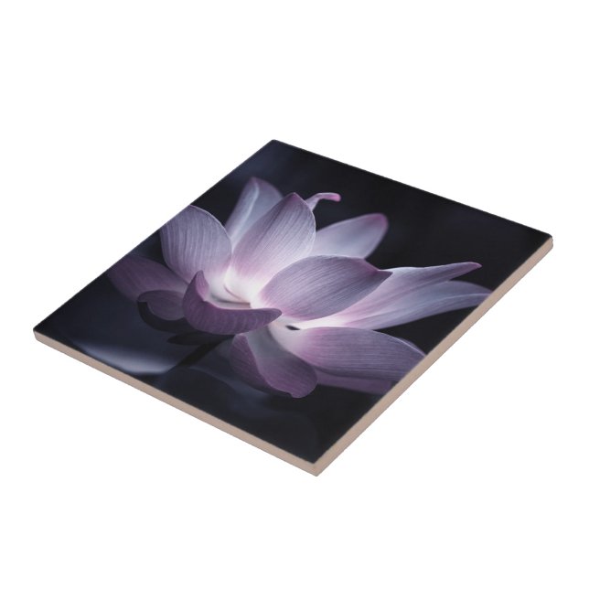 Highlighted Lotus flower, decorative floral photo Tile (Side)