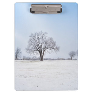 Highlighted Winter Oak Tree Clipboard