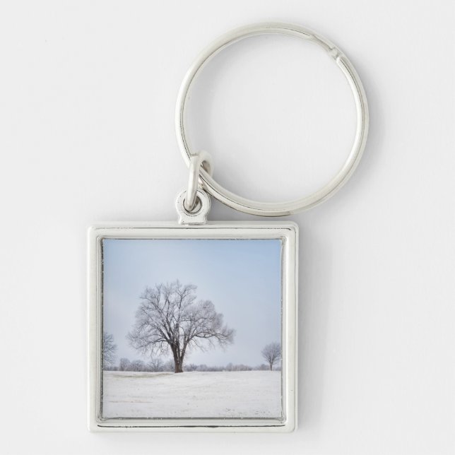 Highlighted Winter Oak Tree Key Ring (Front)