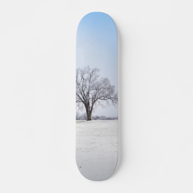 Highlighted Winter Oak Tree Skateboard (Front)