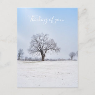 Highlighted Winter Oak Tree Thinking Of You Postcard