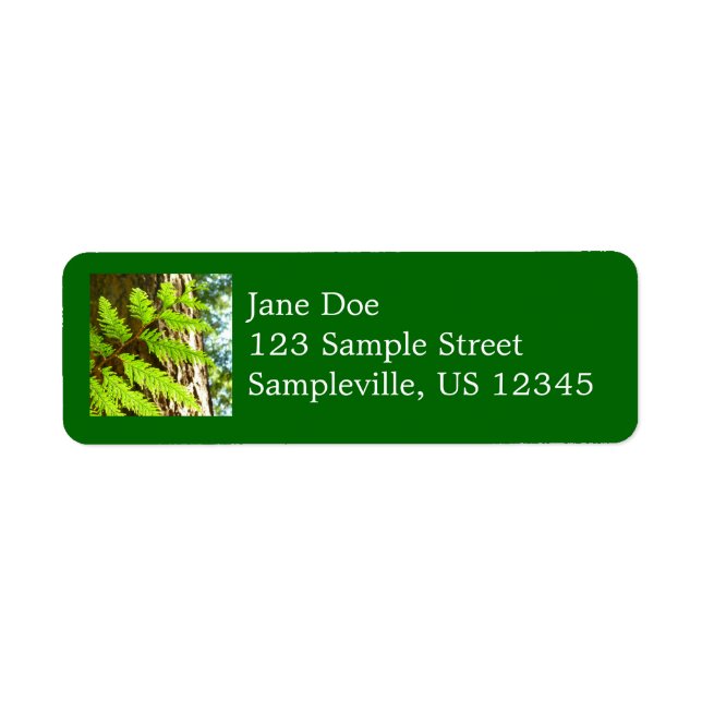 Highlights of a Redwood Tree Botanical (Front)
