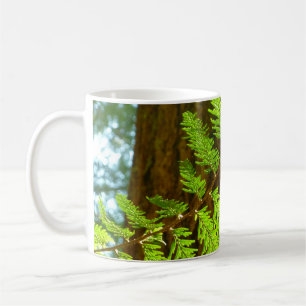 Highlights of a Redwood Tree Botanical Coffee Mug