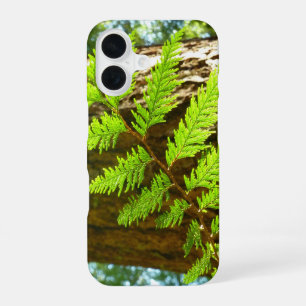 Highlights of a Redwood Tree Botanical iPhone 16 Case
